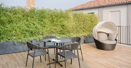 Room Premium room with terrace